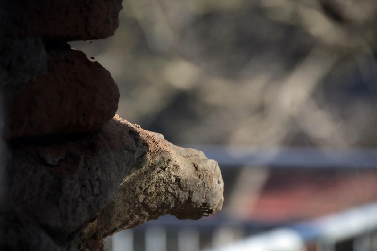 Képek: 2022. február