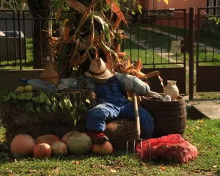 Jásd, Szüreti felvonulás 2015 borítóképe