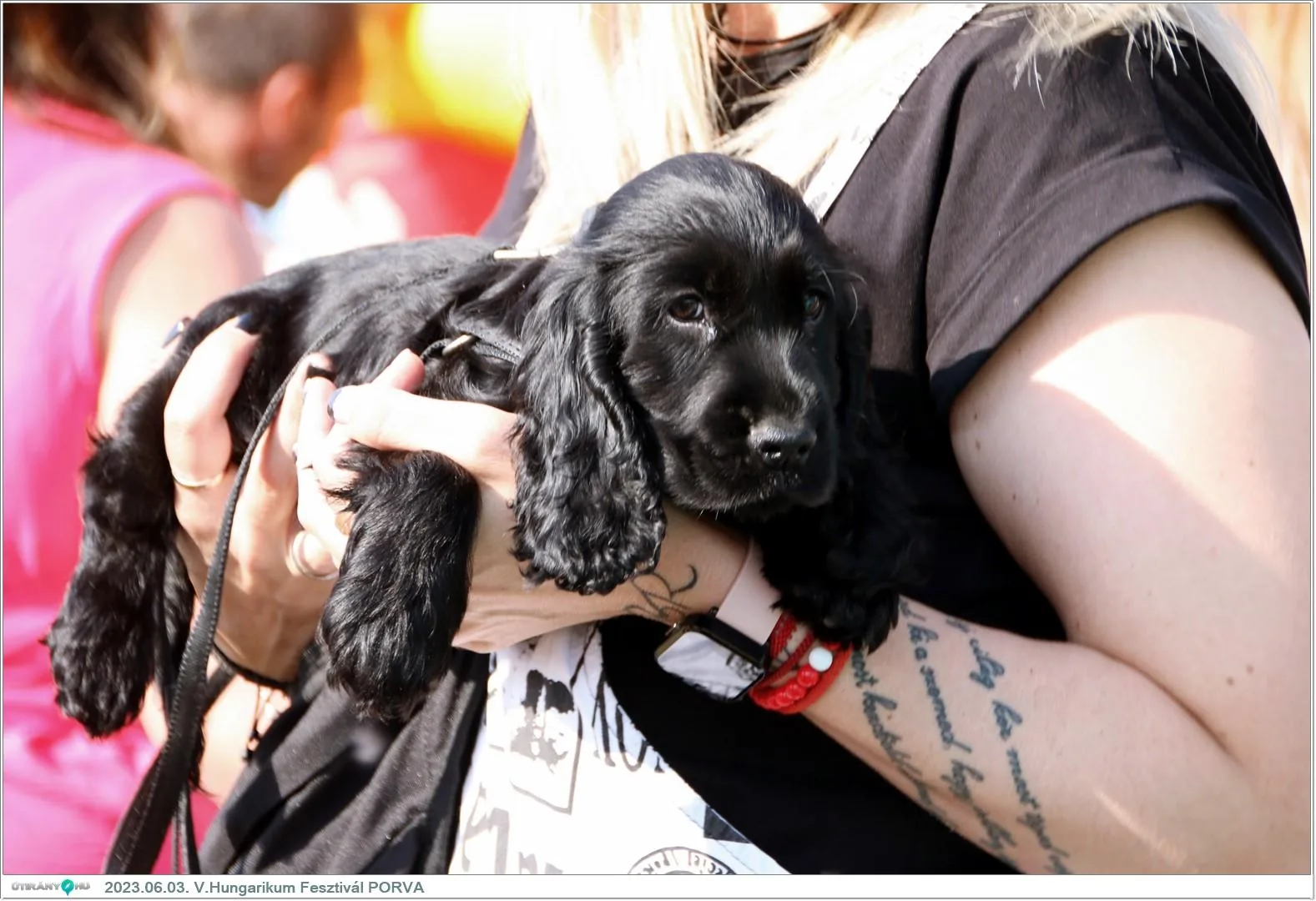 Fotók, Útirány.hu