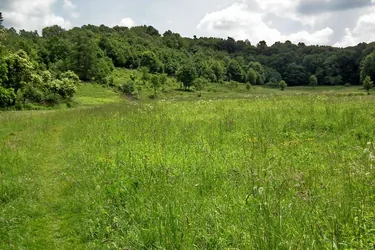 Képek a Vendégházról