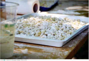 Képek: Útirány.hu