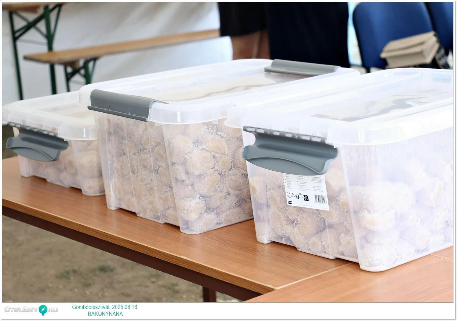 Fotók: Útirány.hu