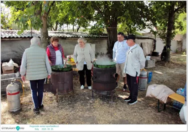 Regionális senior sporttalálkozó