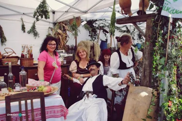 Nemzeti Vágta, szurkoljunk együtt a Bakonynak!