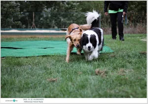 Fotók, Útirány.hu