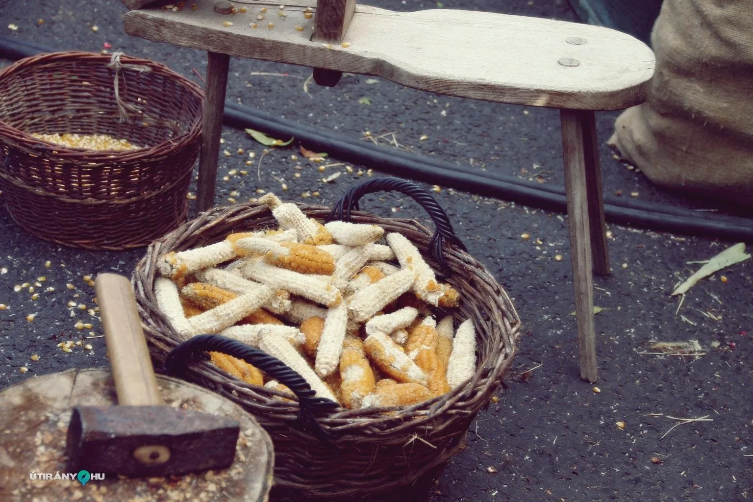 Nemzeti Vágta, Szombati képek. Fotó: Útirány.hu