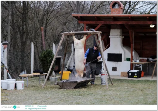 'III. Hagyományos disznótor' cikk borítóképe