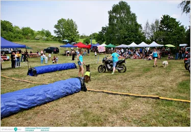 Jótékonysági Piknik Leventéért