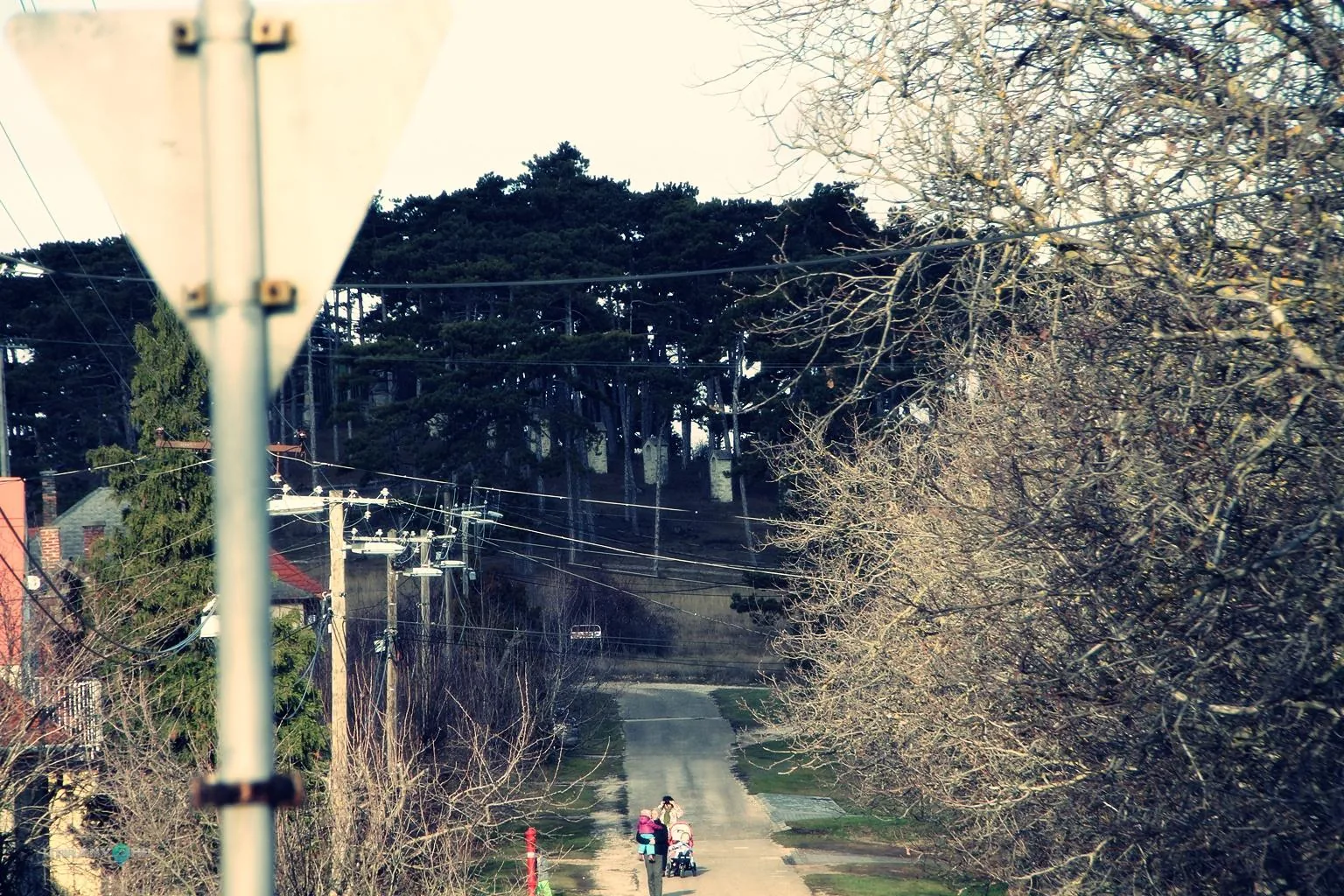 Szilveszteri futás 2018. / Fotók: Útirány.hu