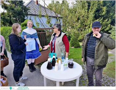 Szüreti felvonulás és Bál
