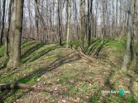 Tevelvár borítóképe