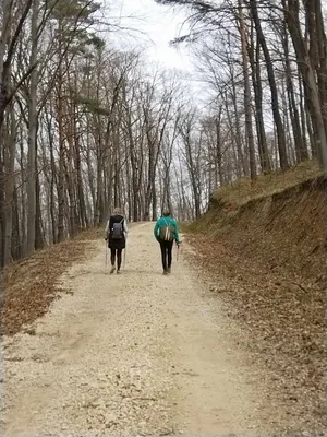 Fotók, Vadon Vándorai 