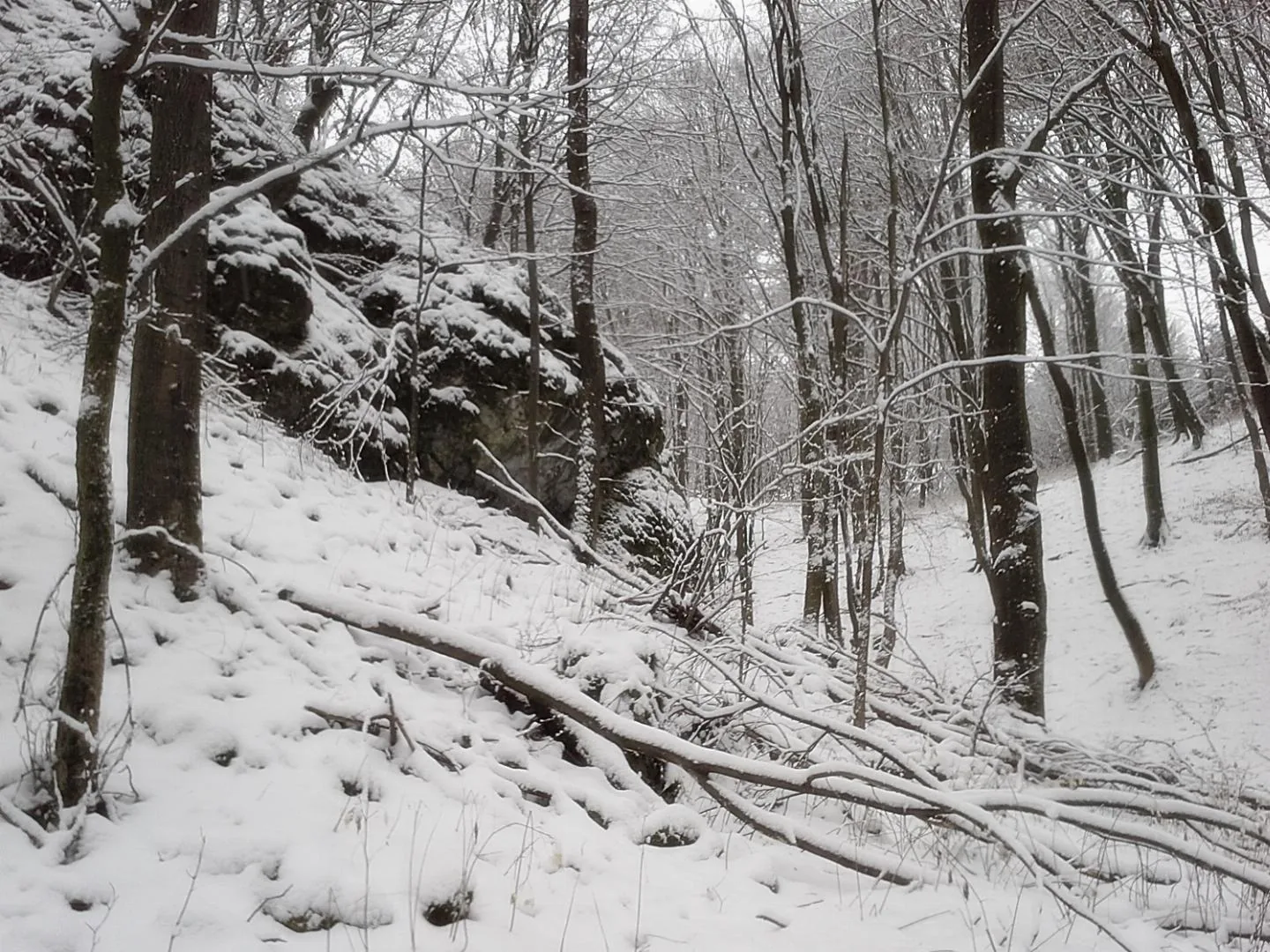 2018 tájfutás képekben