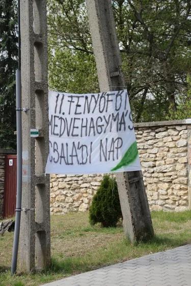 Második Fenyőfői Medvehagymás Családi Nap