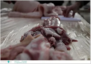 III. Hagyományos disznótor / Képek: Útirány.hu