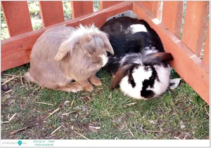 2022.04.14. csütörtöki nap Fotók: Útirány.hu