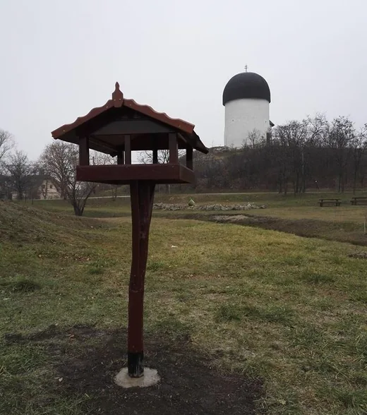 'Madáretető' cikk borítóképe