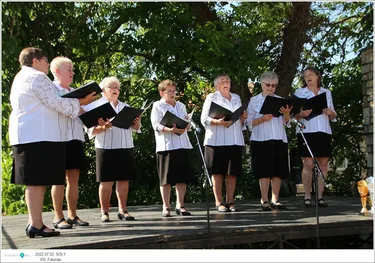 VIII. Sólyi Falunap
