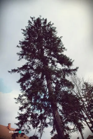 Szentmise után körséta az arborétumban. Fotók: Útirány.hu