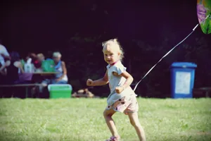 2018 Falunap Fotó: LuiLand