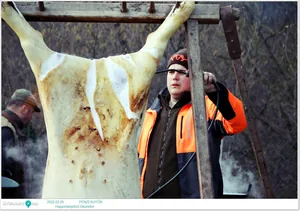 Fotók, Útirány.hu