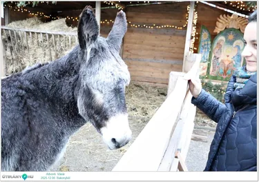 Adventi Vásár Bakonybélben