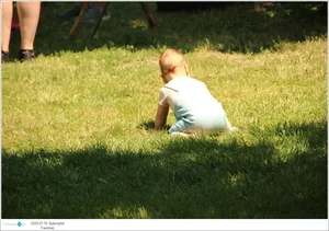 Fotók, Útirány.hu: