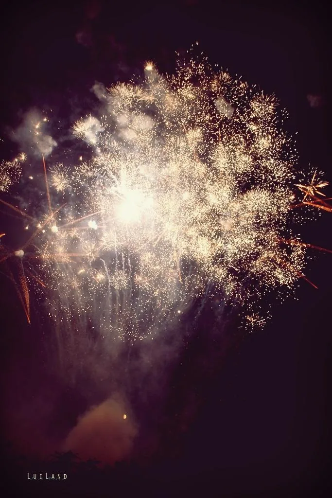 Nyárbúcsúztató főzőverseny, Fotó: LuiLand 