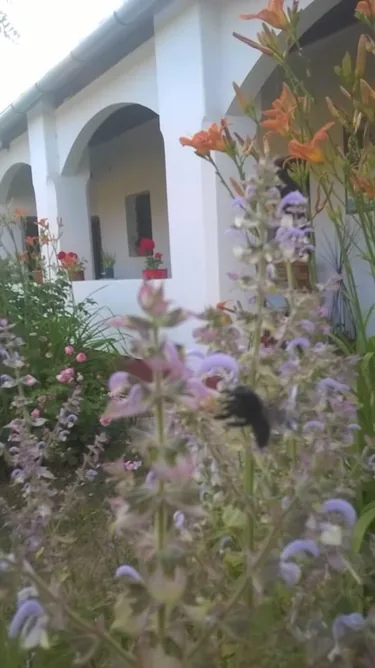 Képek: Jásdi Tájház 2020 előtt