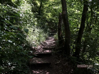 Képek videó 2013 Odvaskő-barlang