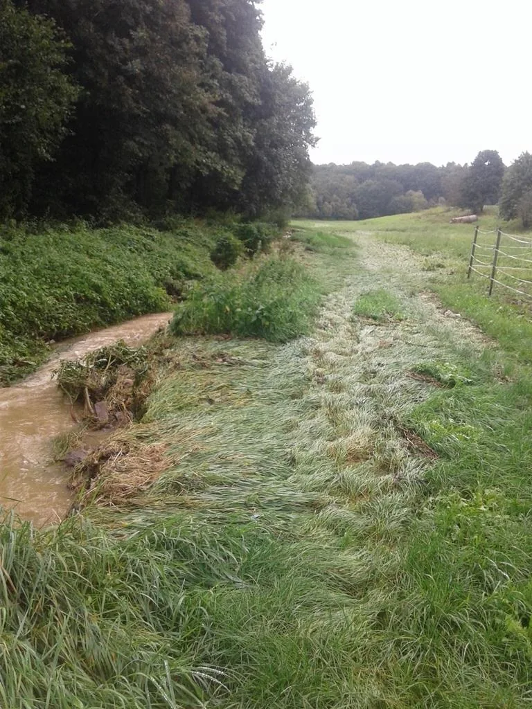 Gerence Pénzesgyőr 2018.09.04.