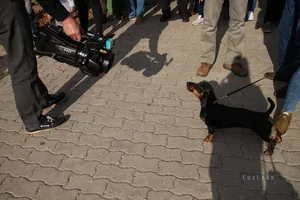 Kora délután, fotók: BakonyiHírek