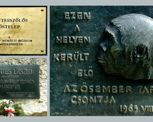 'Őstelep' cikk borítóképe