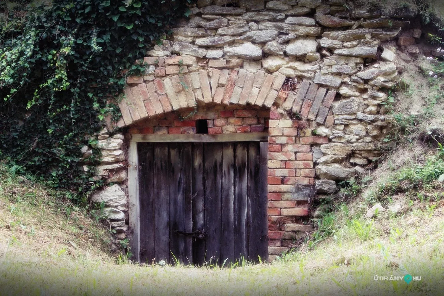 Pincefesztivál 2019 / Fotók: Útirány.hu