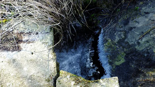 'Aranyos kút' cikk borítóképe
