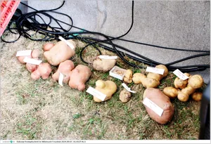 Fotók, Útirány.hu