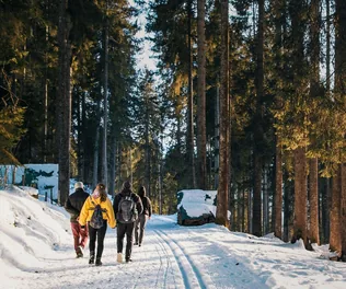 Három napos téli túra a Bakonyban borítóképe
