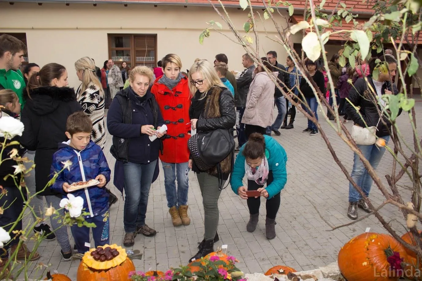 Fotók 2 album: Babai Lalinda