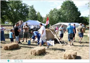 Parasztolimpia és főzés