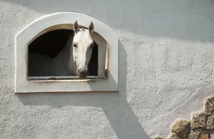 Fotó: Pesty Márton