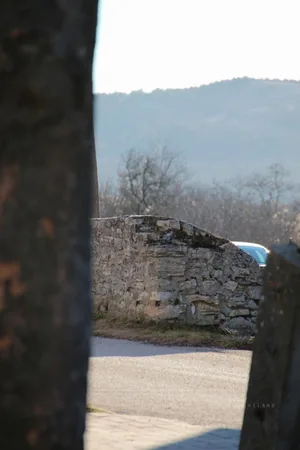 Fotók: Útirány.hu