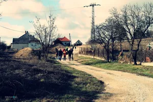 Szilveszteri futás 2018. / Fotók: Útirány.hu