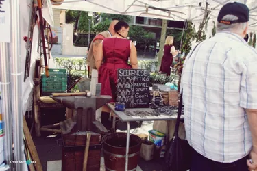 Nemzeti Vágta, szurkoljunk együtt a Bakonynak!