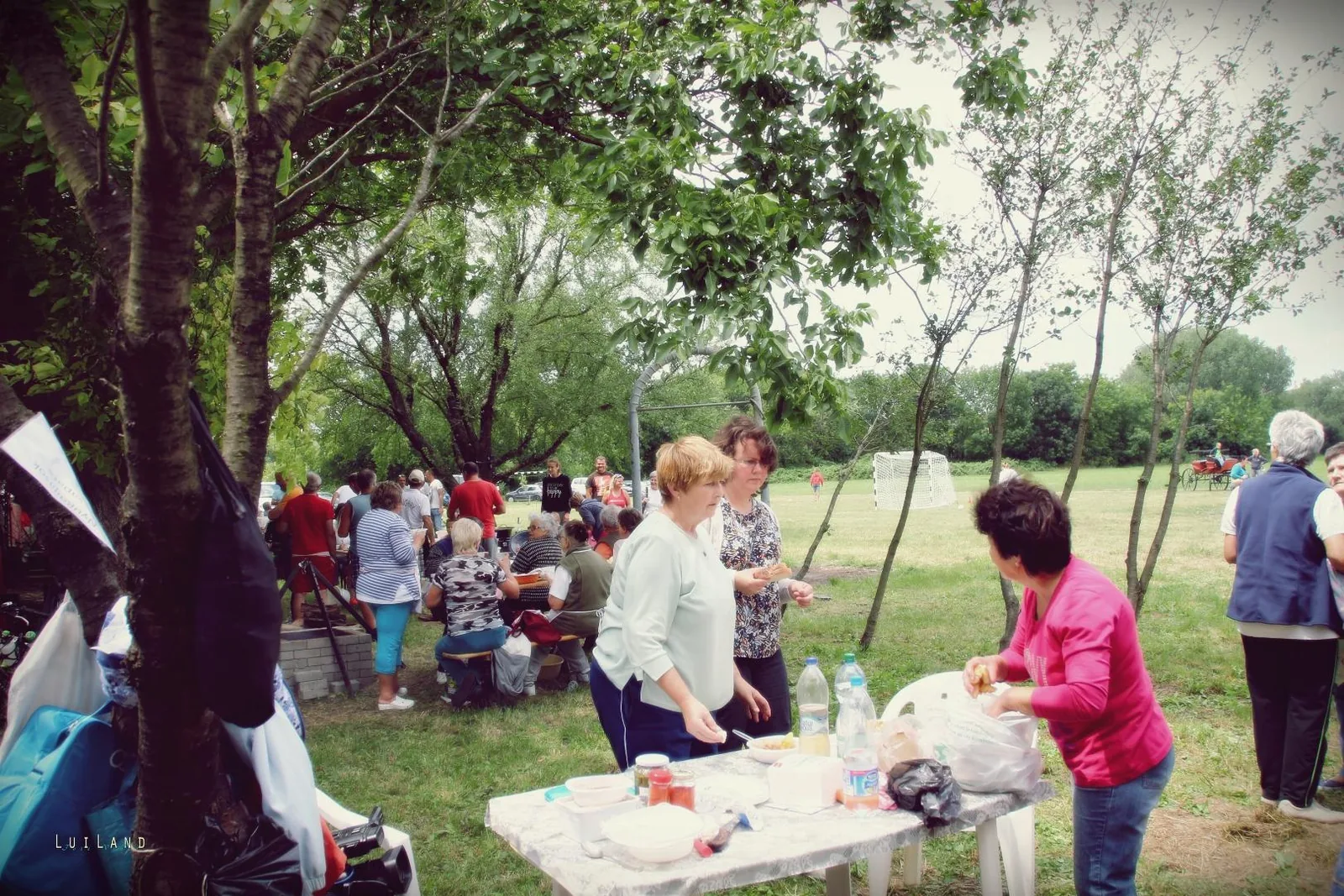 Falunap Fotó: LuiLand