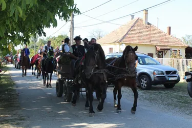 Szüreti felvonulás és utcabál