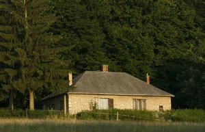 Fotó: Pesty Márton