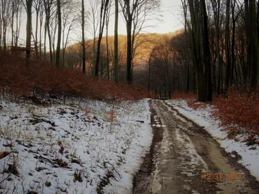 Kedvcsináló képek tavalyról! Fotók: Horváth Attila