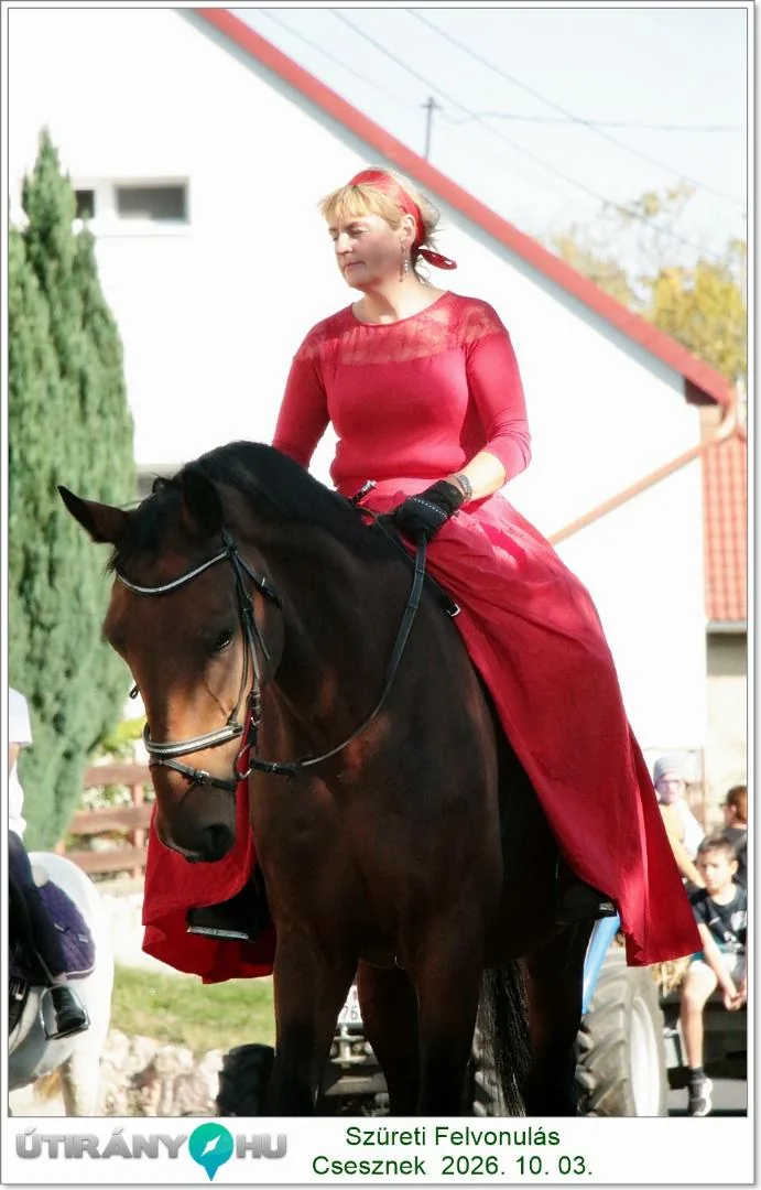 Képek