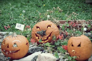 Tökfesztivál 2018. Fotók: Útirány.hu