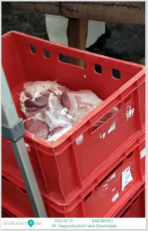 Fotók: Útirány.hu